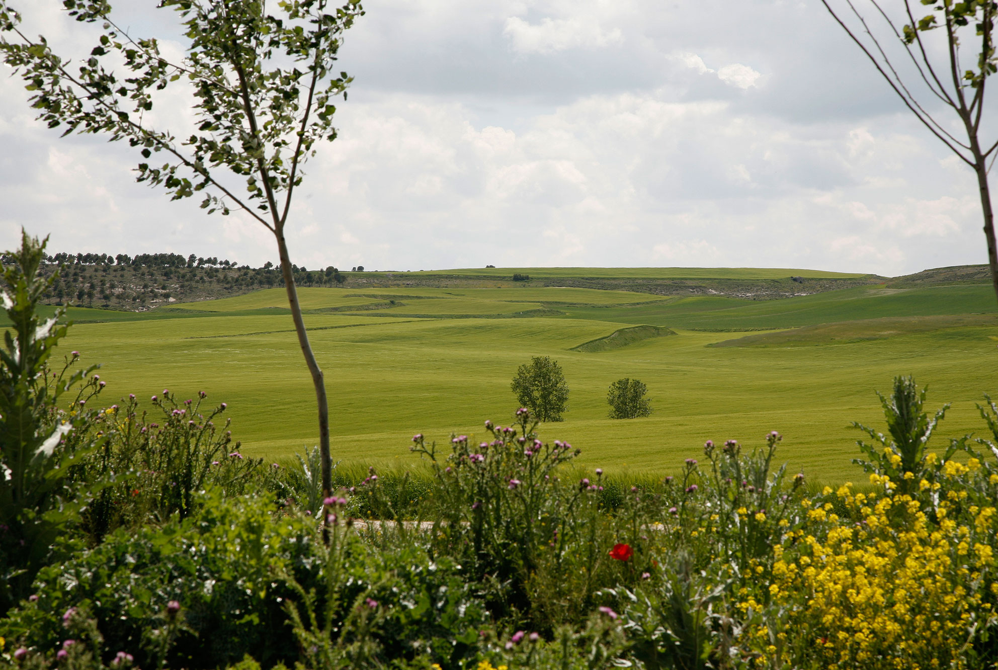 Rutas guiadas por Mucientes y los pueblos de la comarca de Valladolid